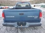 2003 Dodge Dakota SXT