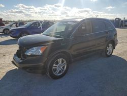 Salvage cars for sale at Arcadia, FL auction: 2011 Honda CR-V EXL