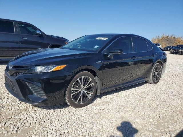 2019 Toyota Camry Hybrid