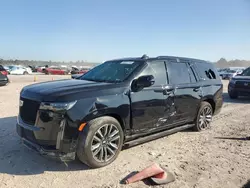 Salvage SUVs for sale at auction: 2023 Cadillac Escalade Sport Platinum