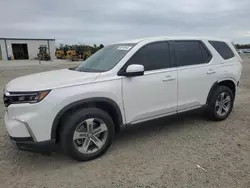 Salvage cars for sale at Lumberton, NC auction: 2023 Honda Pilot EXL