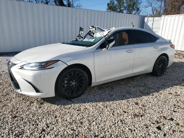 2024 Lexus ES 300H Base