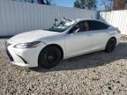 2024 Lexus ES 300H Base