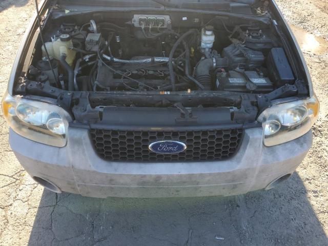 2007 Ford Escape XLT