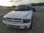 2002 Dodge Dakota Quad SLT