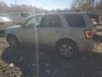 2008 Ford Escape Limited