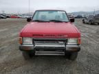 1986 Nissan D21 Short BED