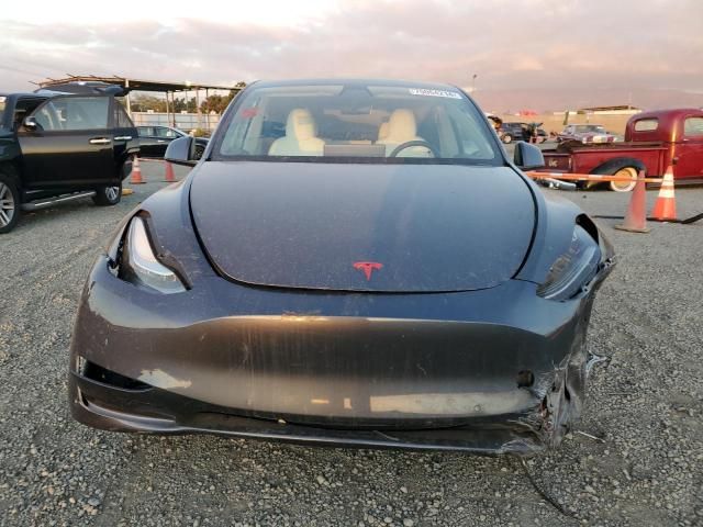 2020 Tesla Model Y