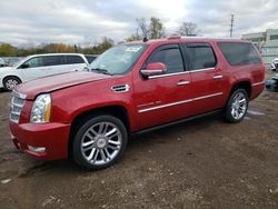 Cadillac salvage cars for sale: 2014 Cadillac Escalade ESV Platinum