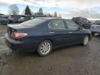 2003 Lexus ES 300