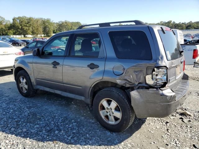 2009 Ford Escape XLT