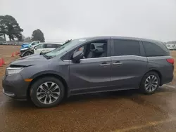 Salvage cars for sale at Longview, TX auction: 2022 Honda Odyssey EXL