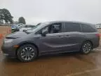 2022 Honda Odyssey EXL