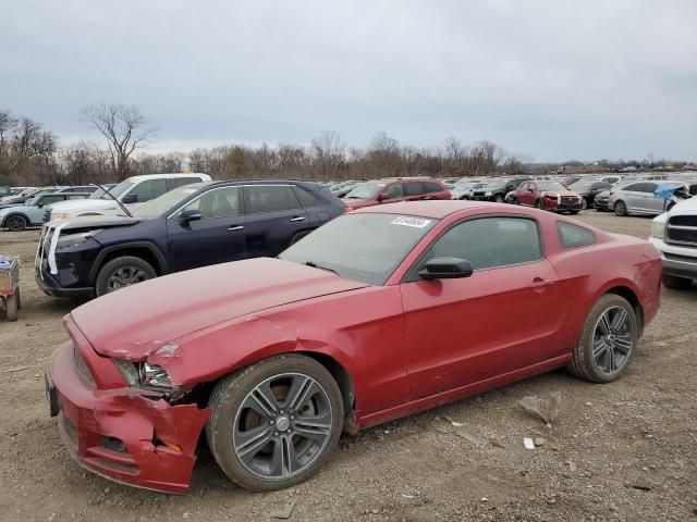 2013 Ford Mustang