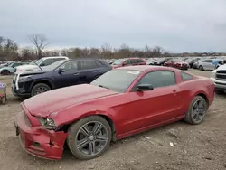 Salvage cars for sale at Des Moines, IA auction: 2013 Ford Mustang