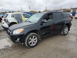 Salvage cars for sale at Indianapolis, IN auction: 2010 Toyota Rav4 Limited