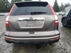 2010 Honda CR-V EXL