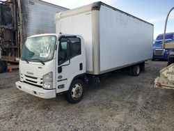 Salvage trucks for sale at Glassboro, NJ auction: 2019 Isuzu NRR