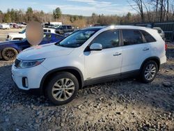 KIA salvage cars for sale: 2014 KIA Sorento EX