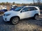 2014 KIA Sorento EX