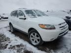 2007 Hyundai Santa FE SE