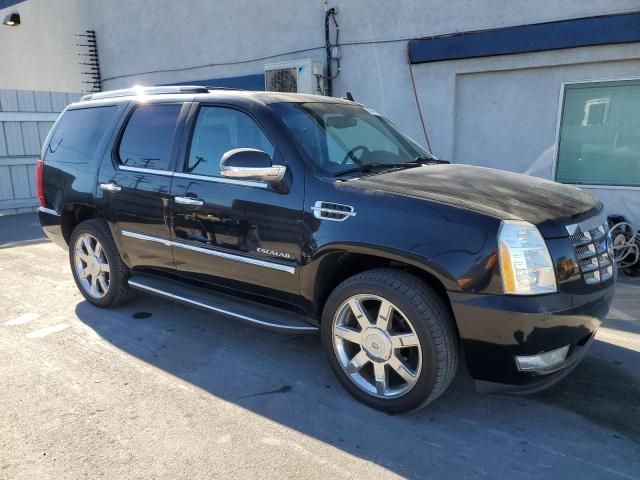 2013 Cadillac Escalade Luxury