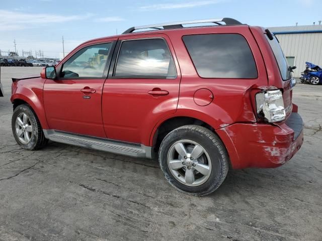 2010 Ford Escape Limited