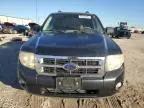 2008 Ford Escape HEV