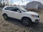 2011 KIA Sorento EX