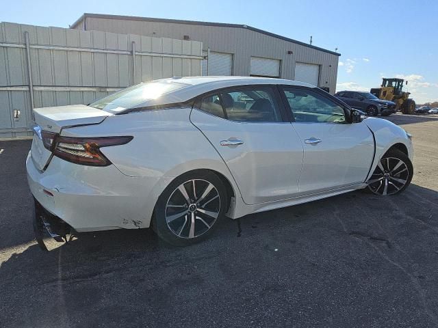 2023 Nissan Maxima SV