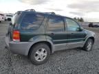 2002 Ford Escape XLT