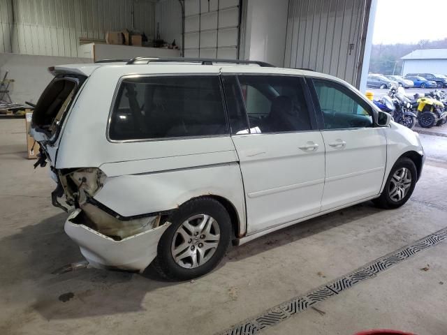 2005 Honda Odyssey EXL