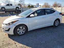 Salvage cars for sale at Walton, KY auction: 2016 Hyundai Elantra SE