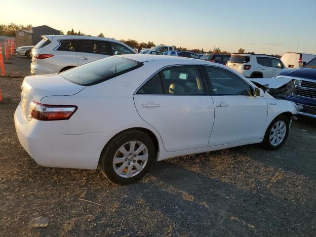 2009 Toyota Camry Hybrid