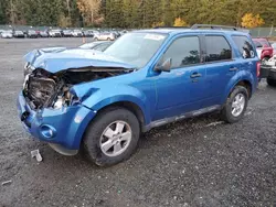 2011 Ford Escape XLT en venta en Graham, WA