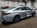 2024 Lexus ES 300H Base