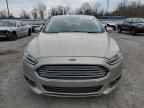 2016 Ford Fusion SE Hybrid