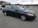 2008 Honda Accord EX