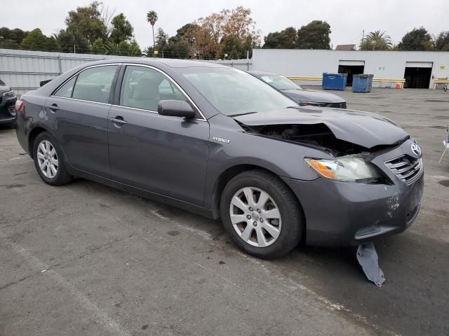 2009 Toyota Camry Hybrid