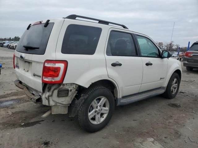 2009 Ford Escape Hybrid