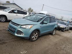 Salvage cars for sale from Copart Dyer, IN: 2013 Ford Escape SE