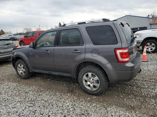 2011 Ford Escape Limited