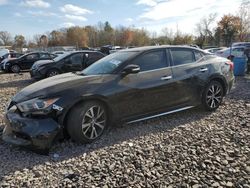 Salvage cars for sale at Chalfont, PA auction: 2017 Nissan Maxima 3.5S