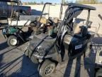 2019 Golf Cart