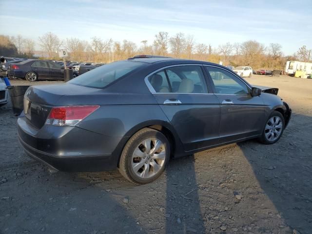 2010 Honda Accord EXL