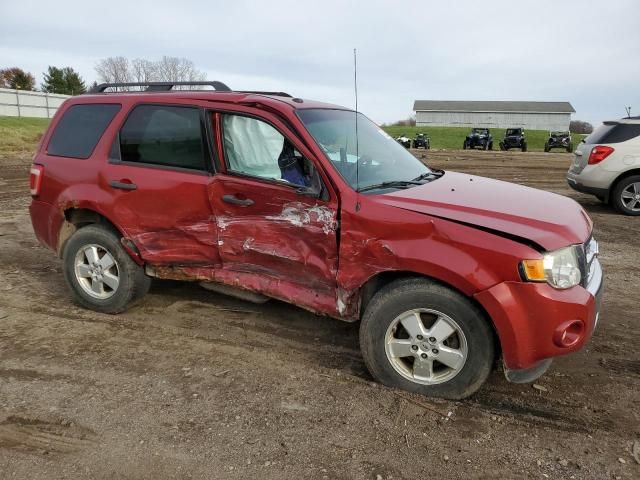 2011 Ford Escape XLT