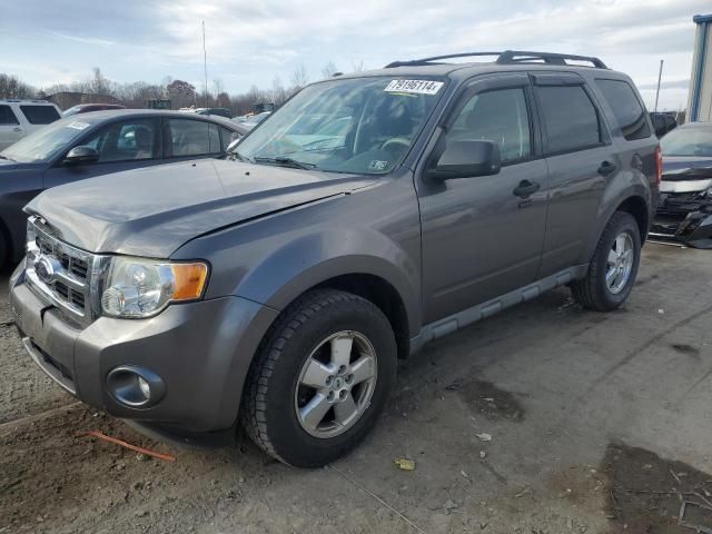 2009 Ford Escape XLT