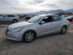 Honda Vehiculos salvage en venta: 2011 Honda Accord SE