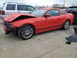 Salvage cars for sale at Louisville, KY auction: 2013 Ford Mustang