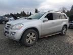 2007 Mercedes-Benz GL 450 4matic